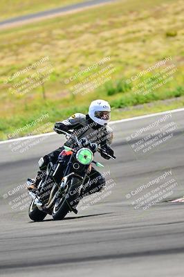 media/Apr-13-2024-Classic Track Day (Sat) [[9dd147332a]]/Group 3/Session 3 (Turn 3)/